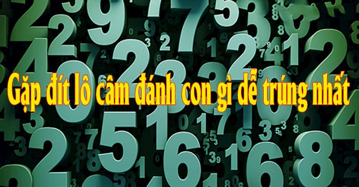 dau-dit-cam-danh-con-gi3 Đít lô câm sẽ mang đến cho bạn nhiều con số may mắn