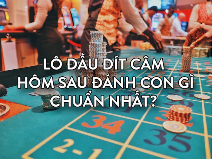 dau-dit-cam-danh-con-gi6 Bí quyết khi chơi đầu đít lô câm